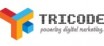 Tricode Professional Services BV